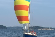 19 Gutelaunespi
